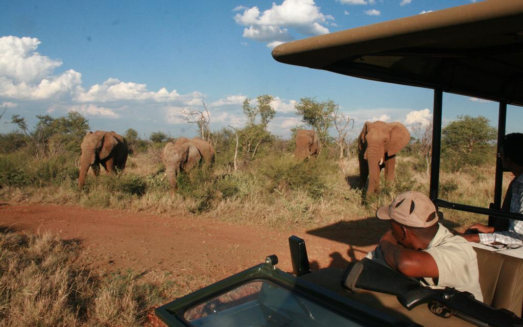 Etali Safari Lodge Madikwe Game Reserve Esterno foto